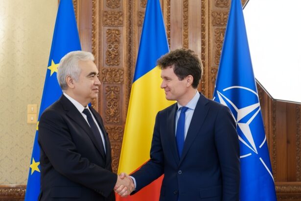 edited nicusor dan vrea ca romania sa adere la agentia internationala de energie dan a discutat cu fatih birol presedintele organizatiei 691caadb9445c