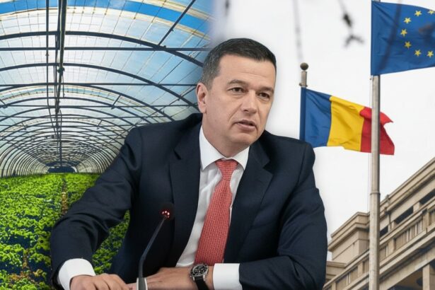 edited sorin grindeanu nu vrea taxa pe sere sau solarii astfel de abordari trebuie sa inceteze 692ac0ac9e445
