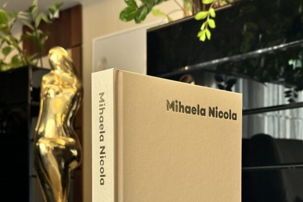 editura nemira si mihaela nicola lanseaza volumul din priviri si conceptul de outfluencer 690b64fcced75