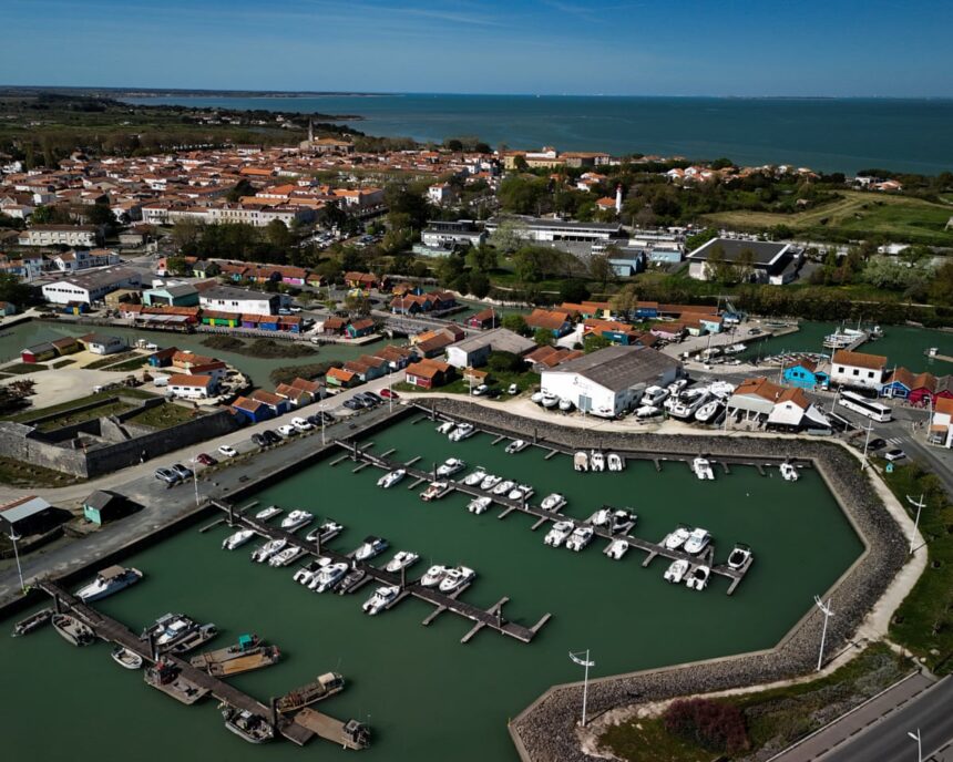 five injured after man deliberately drives car into people on french island 690b75bc3cfb6