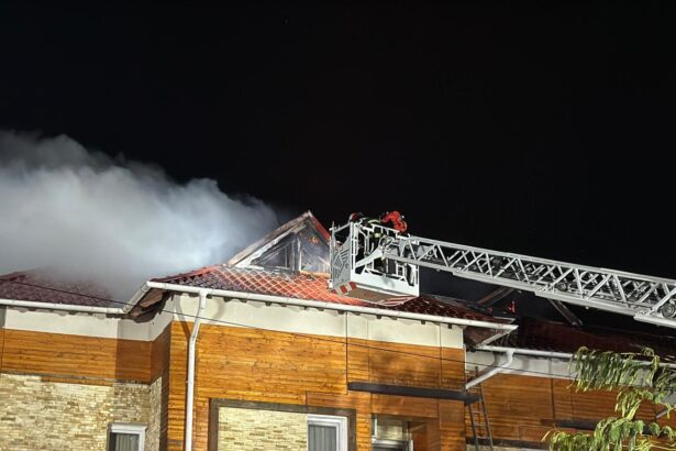 incendiu puternic la o pensiune din din delta dunarii fum si flacari la acoperis 6918cf4fd7c5e