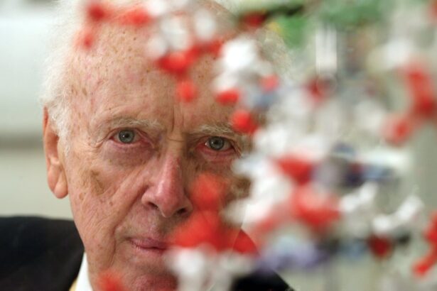 james d watson co discoverer of dnas twisted ladder structure dies aged 97 690e56fb34389