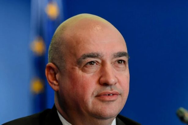 liderul pnl care l a dus pe fanel bogos in biroul premierului a demisionat de la sefia autoritatii pentru reforma feroviara 6913101d5ec3b