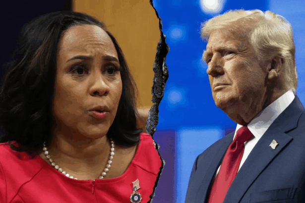 mike davis after trump case collapses time for fani willis to lawyer up 692b20d3b3516