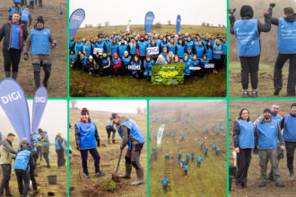 oameniidigi au plantat 5 200 de puieti la cea de a doua editie padurea digi fiecare copac o schimbare 691b2d9aa7ef9