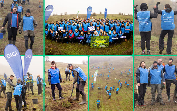 oameniidigi au plantat 5 200 de puieti la cea de a doua editie padurea digi fiecare copac o schimbare 691b2d9aa7ef9