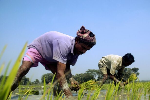 only 3 of international climate aid going to transitioning communities this is absurd 6908c5fa74636
