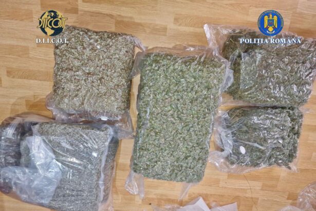 patru barbati prinsi cand ridicau colete cu 41 de kilograme de canabis 69204b7ca7b8e