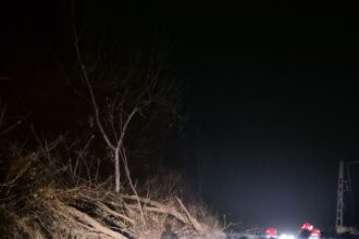 prahova sub cod galben pompierii intervin pentru inundatii copaci cazuti si alunecari de teren 692c14e7f1025