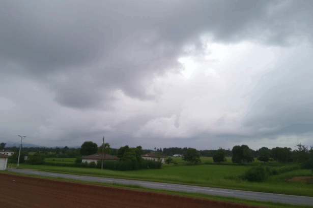 prognoza meteo pentru doua saptamani se incalzeste in mai multe zone din tara 6911c3f9124b3