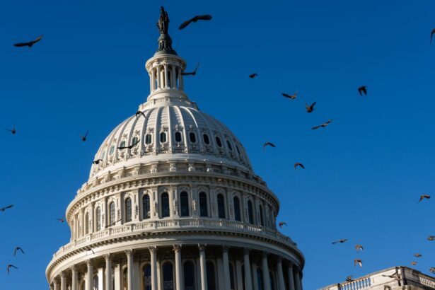 senate to hold 15th vote on ending record breaking us government shutdown 690e155e7ba72