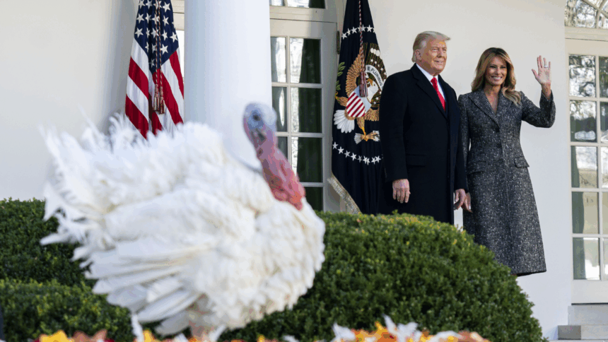 trump kicks off thanksgiving week with turkey pardon and christmas tree arrival 692470c9b4cb4