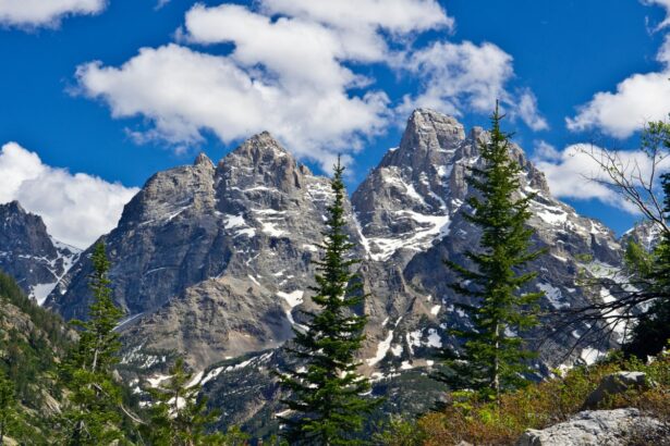 trump pardons trail runner convicted after taking shortcut during record run 69139a967fb30