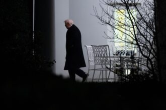 trumps investigation into epstein ties to political foes might be smokescreen republican says 691a57ac10e8d