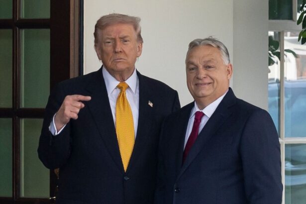 us grants hungary one year exception from sanctions over russian oil and gas 690e9af06de82