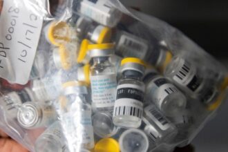 us public health officials vigilant as newer mpox variant detected 69060efd4239b