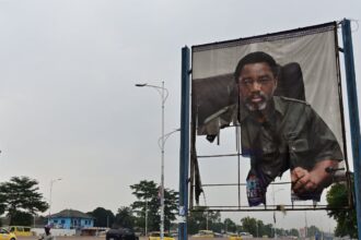 violent reprisals after drc whistleblowers discover profiteering in protected land 6913445854c2e