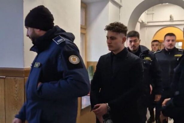 vlad pascu contesta condamnarea de 10 ani ce argumente aduce apararea 6926ceecb663d