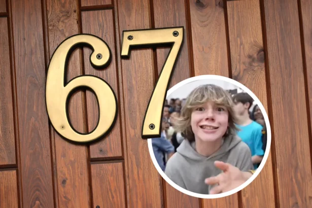 Numărul 67 asociat culturii internetului și fenomenelor virale din 2025