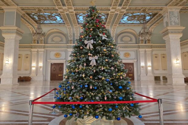 Senatoarea Valentina Aldea, mesaj de Crăciun despre speranță, familie și credință într-un an dificil pentru români