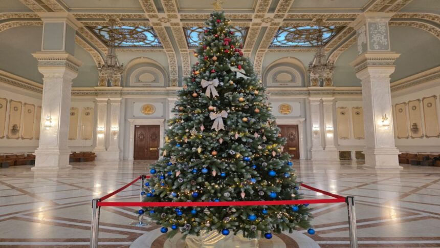 Senatoarea Valentina Aldea, mesaj de Crăciun despre speranță, familie și credință într-un an dificil pentru români