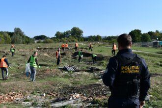 cat costa pe ora un ajutor in gospodarie de la spart lemne si curatat terenuri pana la construirea de foisoare si mobilier din lemn 69415d0f0c575