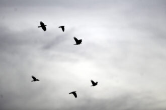 ce se intampla cu vremea in romania pana in primele zile din 2026 anuntul meteorologilor 6932757d70e27