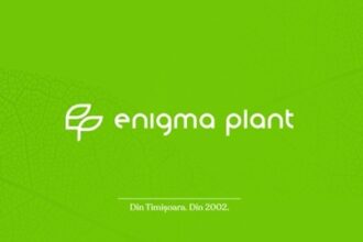 de la radacini traditionale la inovatie parcursul enigma plant 69402cf45e91d