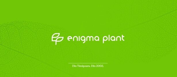 de la radacini traditionale la inovatie parcursul enigma plant 69402cf45e91d