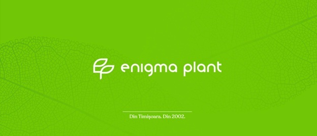 de la radacini traditionale la inovatie parcursul enigma plant 69402cf45e91d