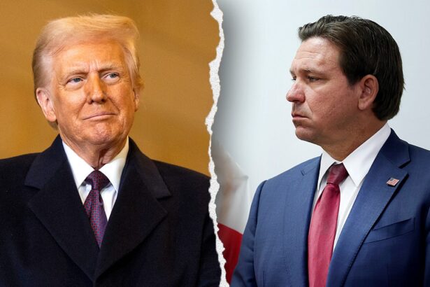 desantis warns gop faces issue keeping trump voters engaged in future elections 6933528ab0742