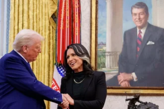 Tulsi Gabbard, directorul comunității de informații americane, avertizează asupra riscului unui război direct între SUA și Rusia pe fondul tensiunilor NATO–UE