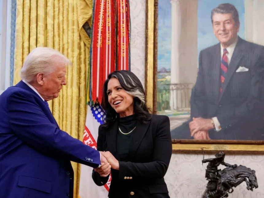 Tulsi Gabbard, directorul comunității de informații americane, avertizează asupra riscului unui război direct între SUA și Rusia pe fondul tensiunilor NATO–UE