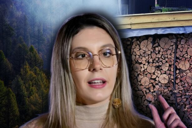 edited ministrul diana buzoianu anunta ca marcarea lemnului de taiat din paduri nu se mai face cu ciocanul reprezinta un sistem arhaic 694545cb97dca