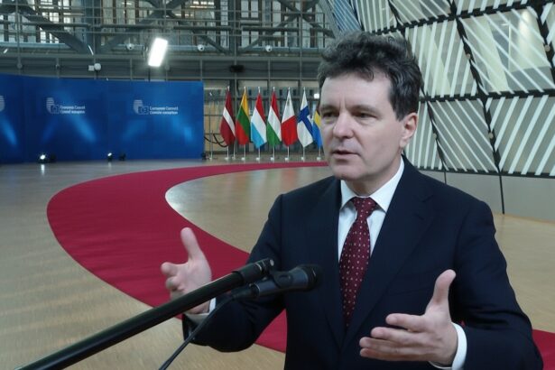 edited nicusor dan se concentreaza pe finantarea ucrainei la summit ul de la bruxelles sustine ca magistratii sunt intimidati prin metode subtile 6943c43f3312f