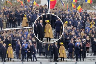 edited pata de culoare de la parada de 1 decembrie cine e femeia cu palarie galbena care a spart toate tiparele vestimentare de la tribuna oficiala 692d72fb3f8f0