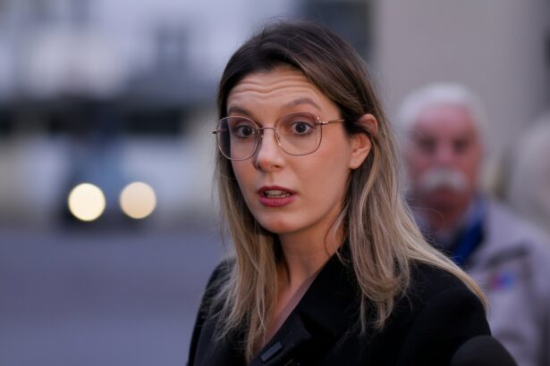 edited senatorii psd voteaza motiunea de cenzura impotriva dianei buzoianu 694009f22ea5b