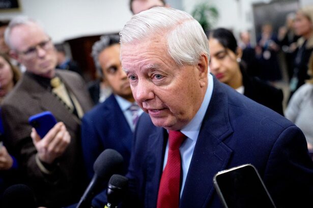 graham leads bipartisan demand for tech reform vote to bring social media companies to heel 6945940c5a7c7
