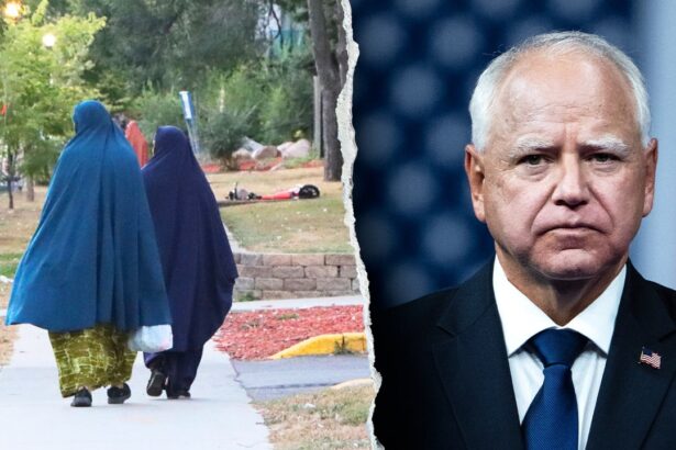 how misreading somali poverty led minnesota into its largest welfare scandal 69394aab7760d