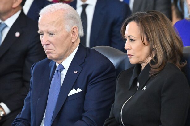 kamala harris says she needed more support from the biden administration during her 2024 campaign 69442d719b592