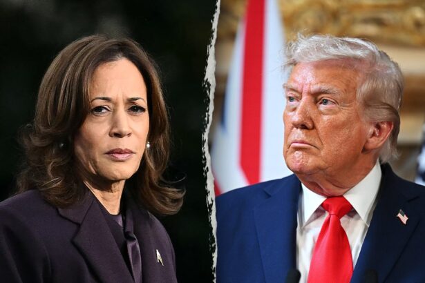 kamala harris says she overheard trump selling his book to somebody after assassination attempt 69445fcb70104