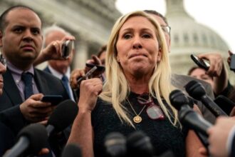 leftist code pink founder praise for marjorie taylor greene stuns social media 693acc49d0edd