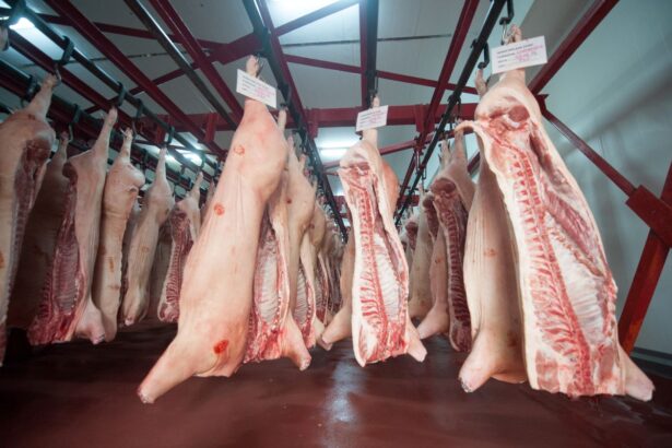 mai multa carne de porc romanesc in marile supermarketuri abatorul peris vizitat de ministrul agriculturii 6943cd9c5f637