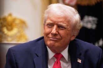 morning glory minnesotas fraud scheme is exposed now trump has golden moment to strike 6937f700b203d