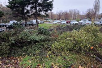 noi defrisari in sectorul 3 locuitorii din titan cer oprirea macelului spatiilor verzi 69327686249a3