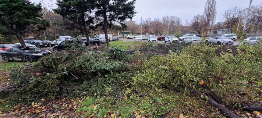 noi defrisari in sectorul 3 locuitorii din titan cer oprirea macelului spatiilor verzi 69327686249a3