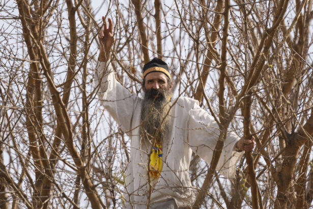 stegarul dac saltat din nou de politisti ar fi agresat fortele de ordine 6937f178ddd3b