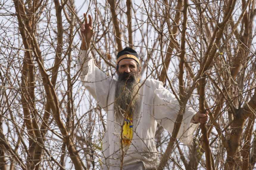 stegarul dac saltat din nou de politisti ar fi agresat fortele de ordine 6937f178ddd3b