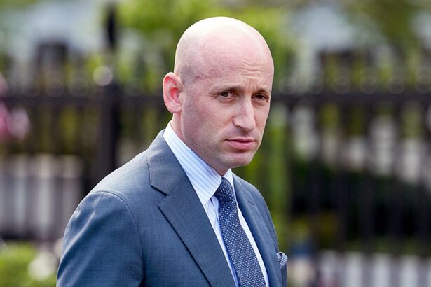 stephen miller claims cnn refuses to book him for any show on any topic 693aed1e9bceb