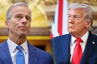 trump presses thune to get something done on stalled nominees 693b048a771d8